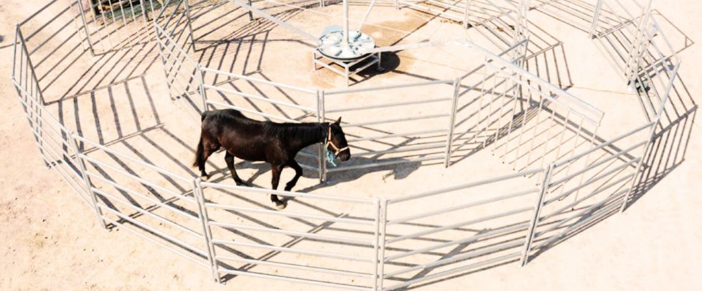 Mecanismes et separations Horse s Line