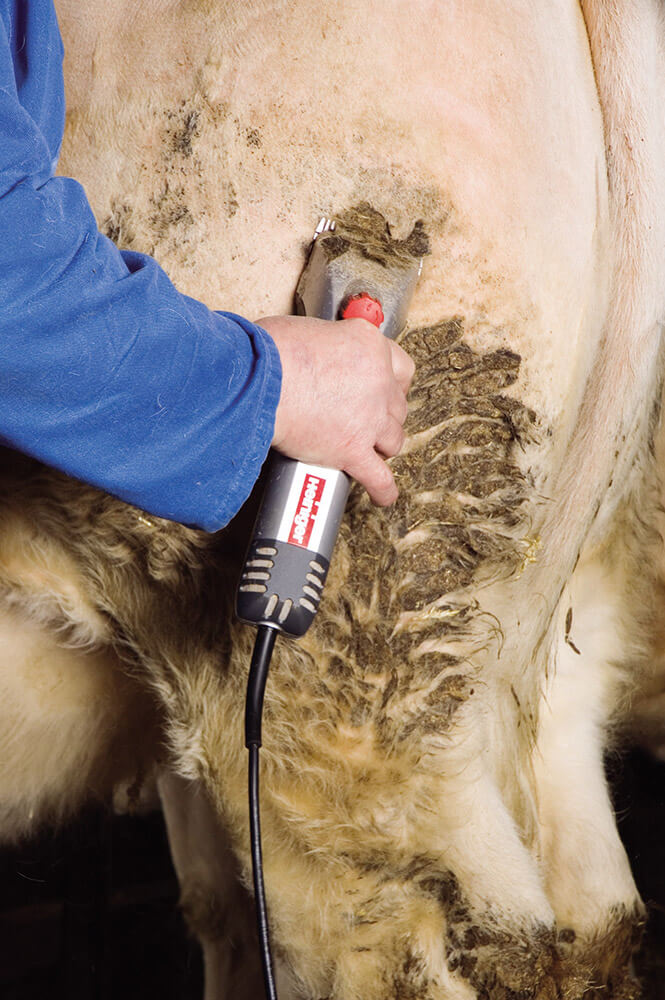 Tondeuse professionnelle pour ovins XPERT - Heiniger